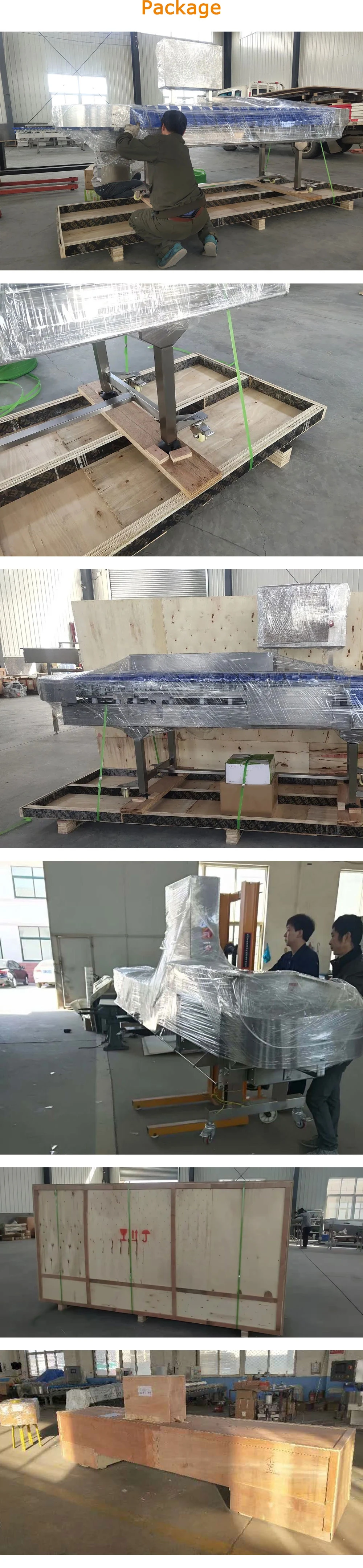 Ty-Jyh103p85-01-12 Full Stainless Steel Frame Belt Conveying Weight Checking Sorting Machine